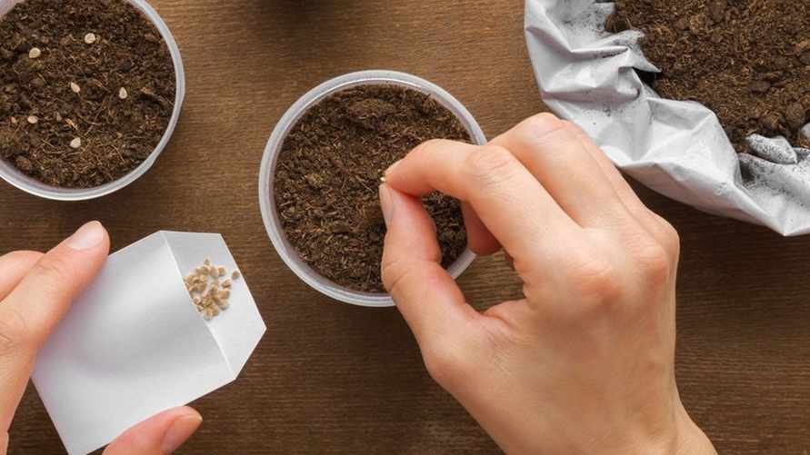 Фото иллюстрационное