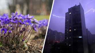 В Беларусь идут первые весенние грозы и +19°С