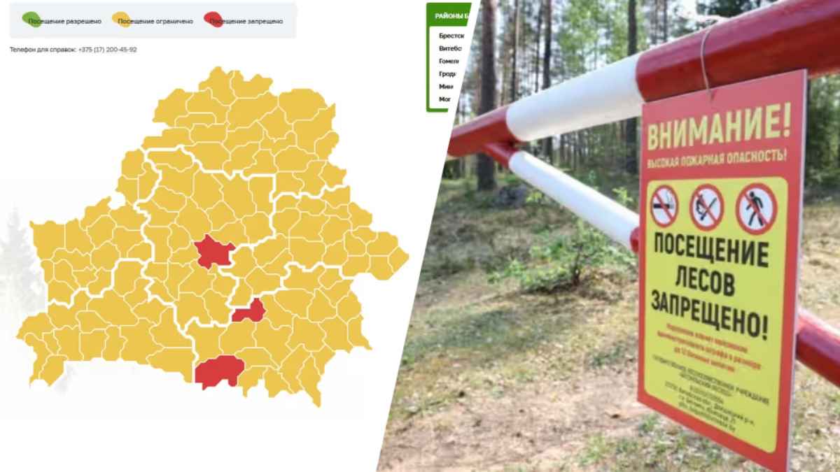 Минлесхоз ввёл первые в этом сезоне запреты на посещение белорусских лесов