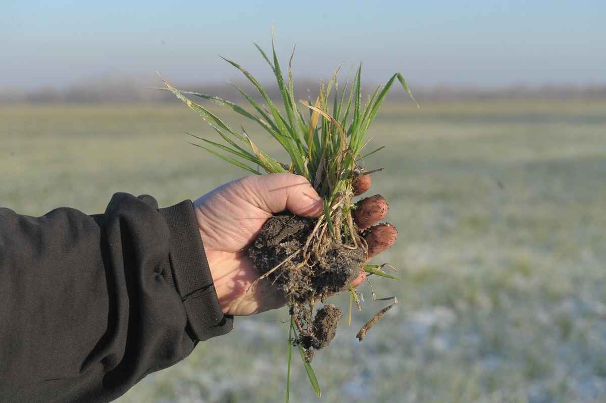 Фото иллюстрационное