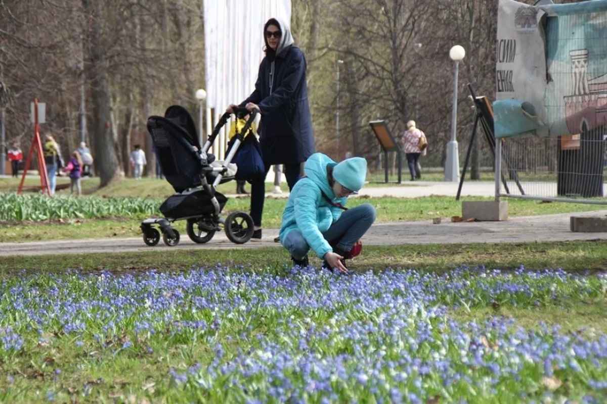 Фото иллюстрационное