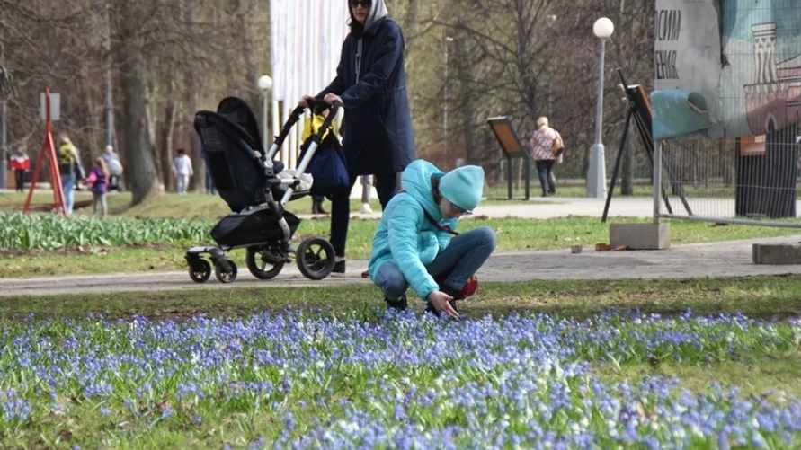 Фото иллюстрационное