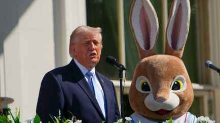 В США призвали остановить Трампа: «Крайне больной человек»