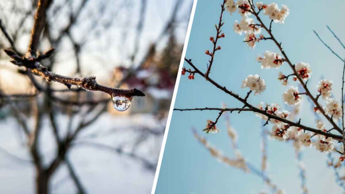 Беларусь пережила рекордно сухой март. В двух городах впервые в истории не выпало ни капли
