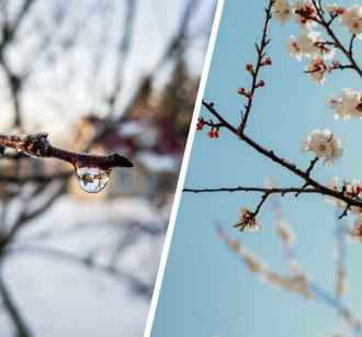 Беларусь пережила рекордно сухой март. В двух городах впервые в истории не выпало ни капли