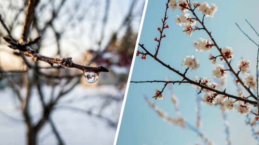 Беларусь пережила рекордно сухой март. В двух городах впервые в истории не выпало ни капли