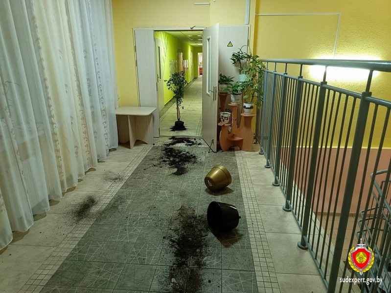 В Минске мужчина устроил погром в детском саду