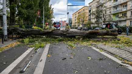 Польшу накрыл шторм до 95 км/час. Что ждать в Беларуси