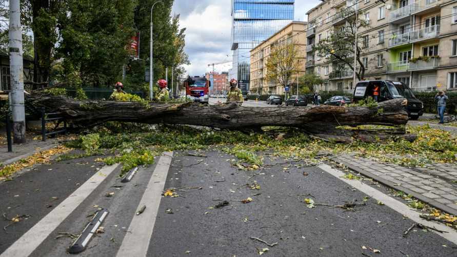 Польшу накрыл шторм до 95 км/час. Что ждать в Беларуси