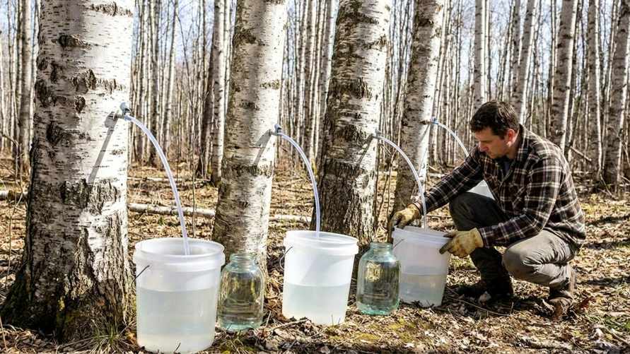 Фото иллюстративное. ИИ