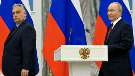 Орбан рассмешил Путина, сравнив себя с «мышью». Новый слив телефонного разговора