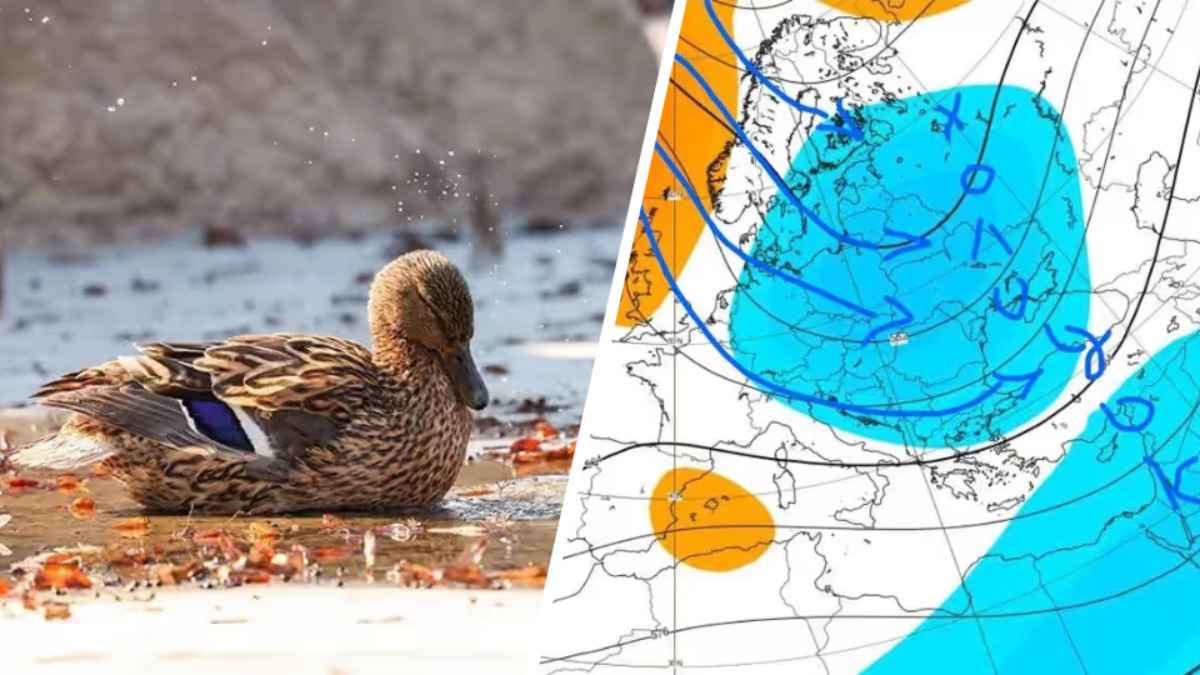 В Беларусь идёт ощутимое похолодание. Когда самые холодные ночи апреля?