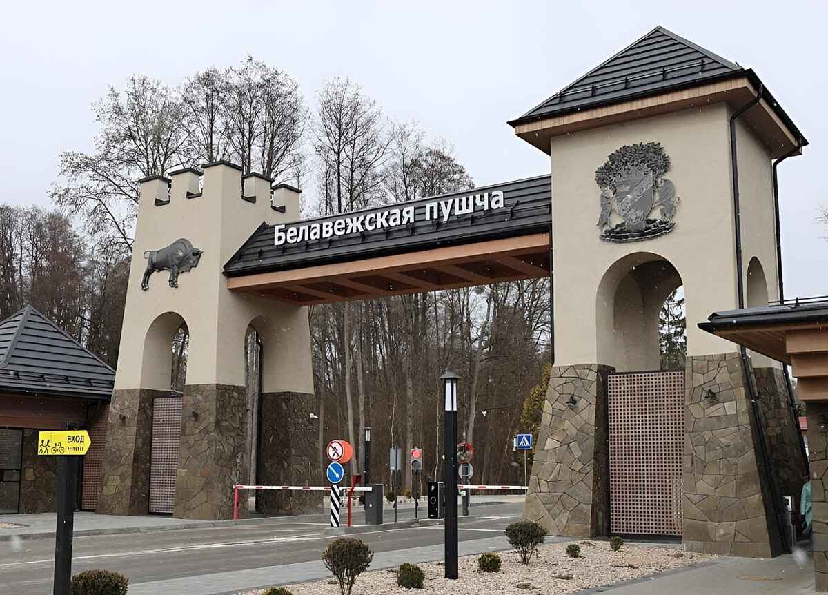 Фото иллюстрационное