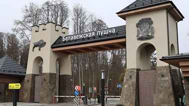 Организаторы технорейва в Беловежской пуще объявили о переносе. У экоактивистов остались вопросы