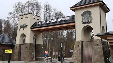 Организаторы технорейва в Беловежской пуще объявили о переносе. У экоактивистов остались вопросы