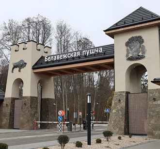 Организаторы технорейва в Беловежской пуще объявили о переносе. У экоактивистов остались вопросы