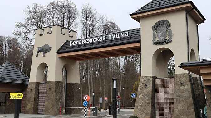 Организаторы технорейва в Беловежской пуще объявили о переносе. У экоактивистов остались вопросы