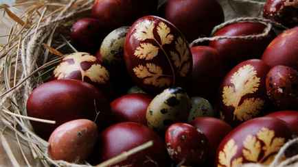 Яйца на Пасху без вреда для здоровья: эпидемиолог объяснила, на что обращать внимание в покупных красителях