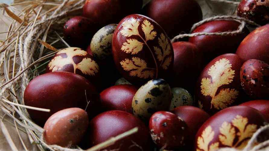 Фото иллюстрационное