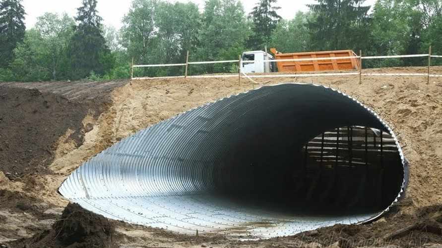 Под Полоцком начали строить тоннели для оленей