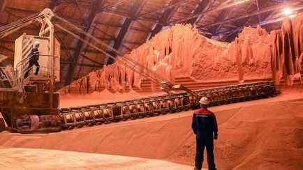 В Литве придумали схему для транзита белорусских удобрений: «Станут американскими»