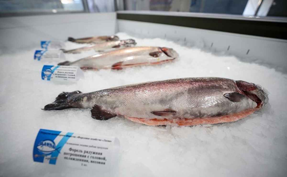 Фото: БЕЛТА