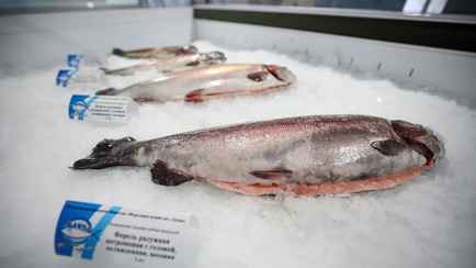 Лукашенко потребовал наполнить рынок белорусской форелью – «Обещали завалить страну»