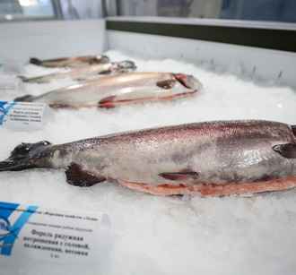 Лукашенко потребовал наполнить рынок белорусской форелью – «Обещали завалить страну»