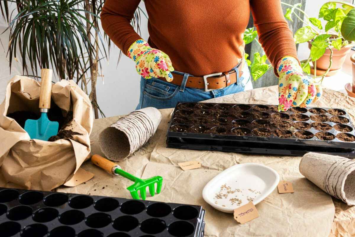 Фото иллюстрационное