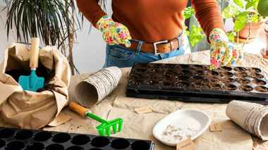 Эти овощи нужно успеть посадить в середине апреля, иначе урожая придется ждать вечно