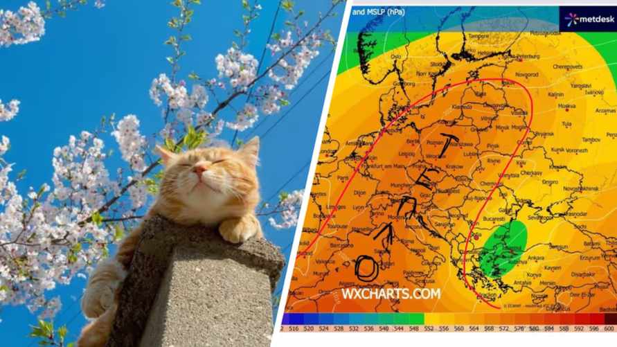 Выше +20°С. Синоптики пересмотрели прогноз на длинные майские выходные для Беларуси