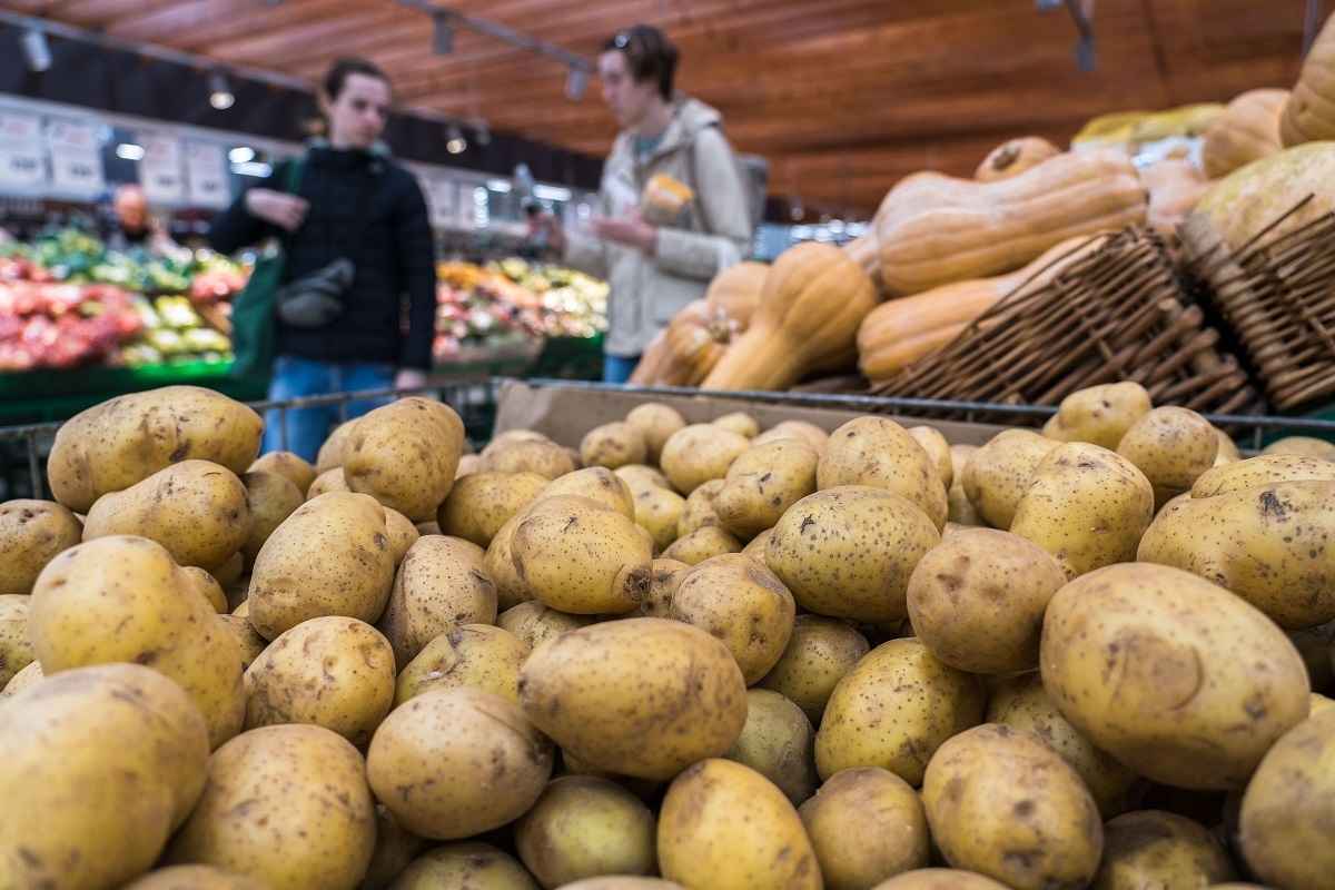 Фото иллюстрационное