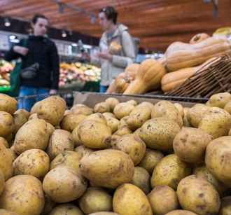 Минсельхозпрод Беларуси определил, на сколько могут вырасти цены на яблоки и картошку до конца года