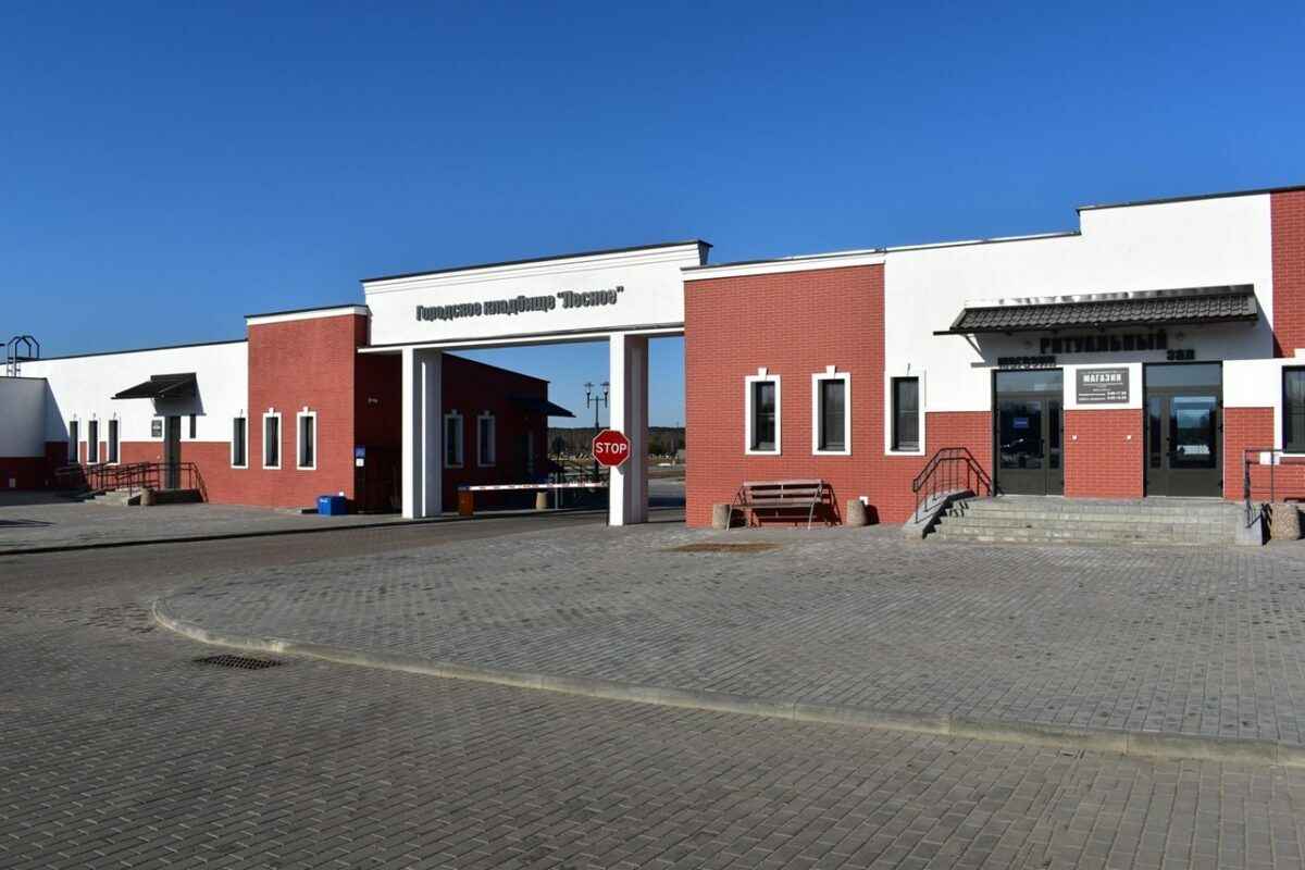 Фото иллюстрационное