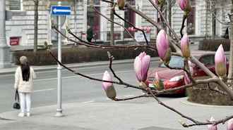 Синоптики назвали дату, когда прекратятся заморозки и потеплеет до +20°С