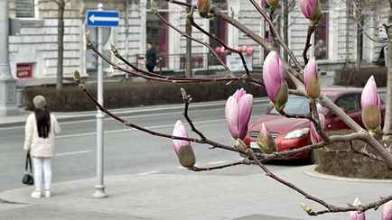 Синоптики назвали дату, когда прекратятся заморозки и потеплеет до +20°С