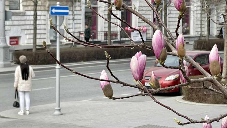 Фото иллюстрационное