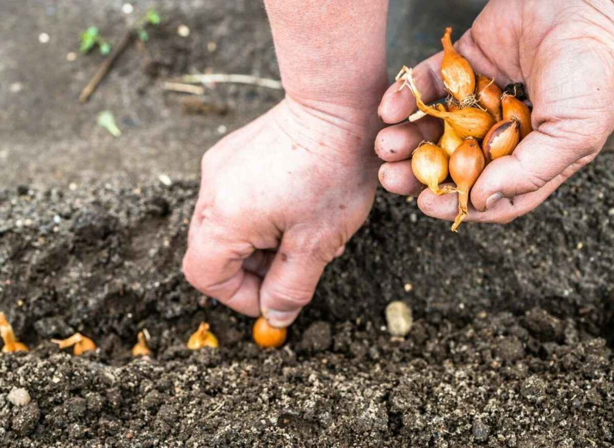 Фото иллюстрационное