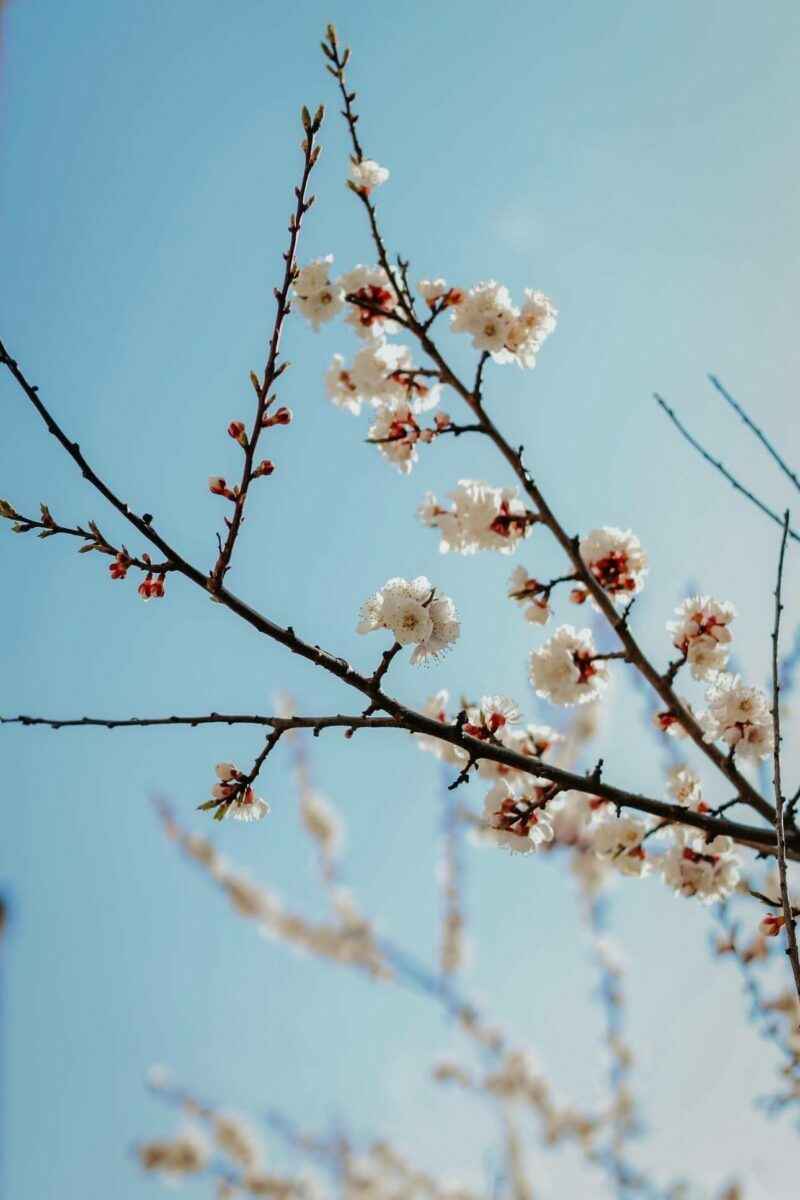 Беларусь пережила рекордно сухой март. В двух городах впервые в истории не выпало ни капли