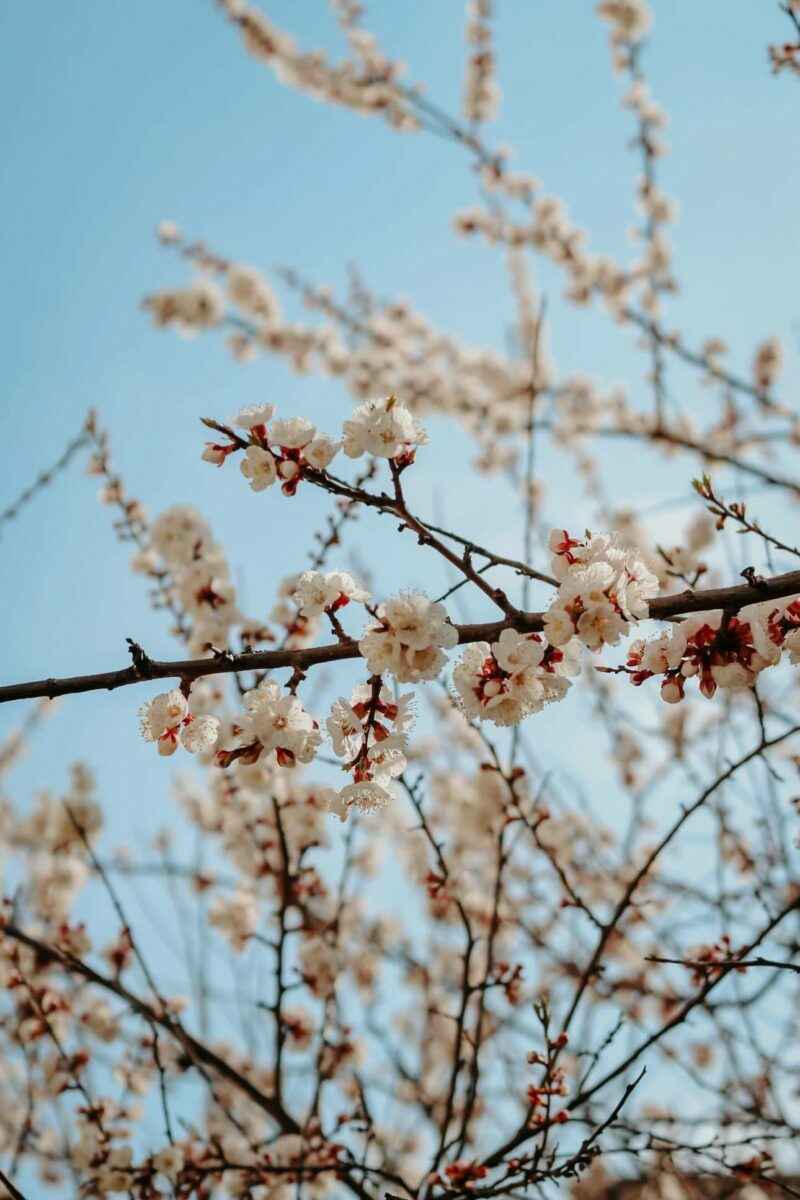 Беларусь пережила рекордно сухой март. В двух городах впервые в истории не выпало ни капли