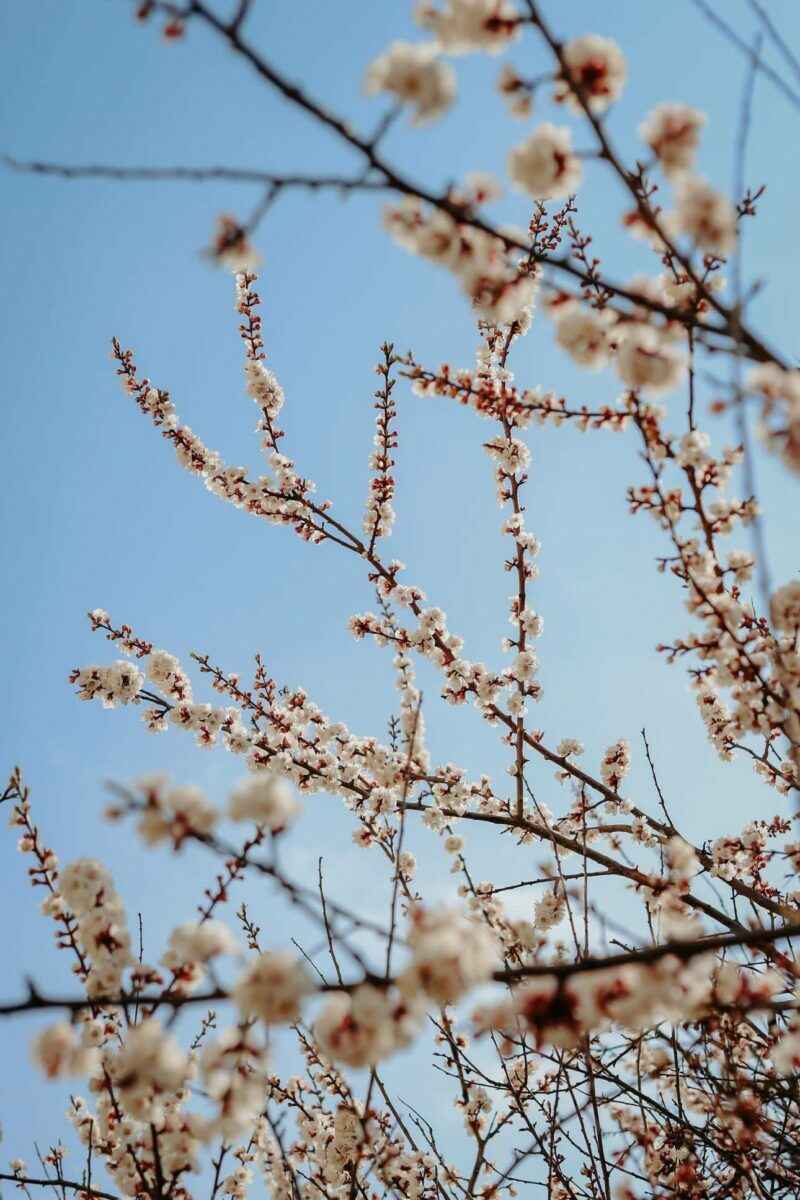 Беларусь пережила рекордно сухой март. В двух городах впервые в истории не выпало ни капли