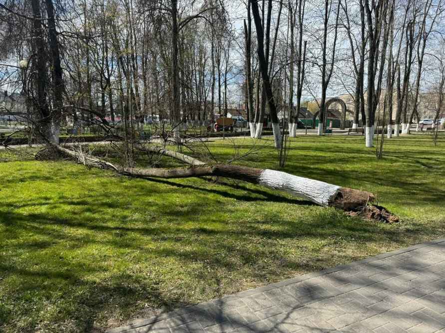 «Оранжевый» ветер в Беларуси валил светофоры, отключал свет и поднимал пылевые бури