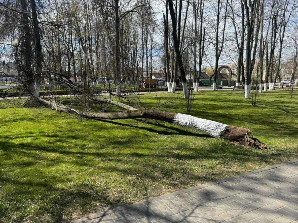 «Оранжевый» ветер в Беларуси валил светофоры, отключал свет и поднимал пылевые бури