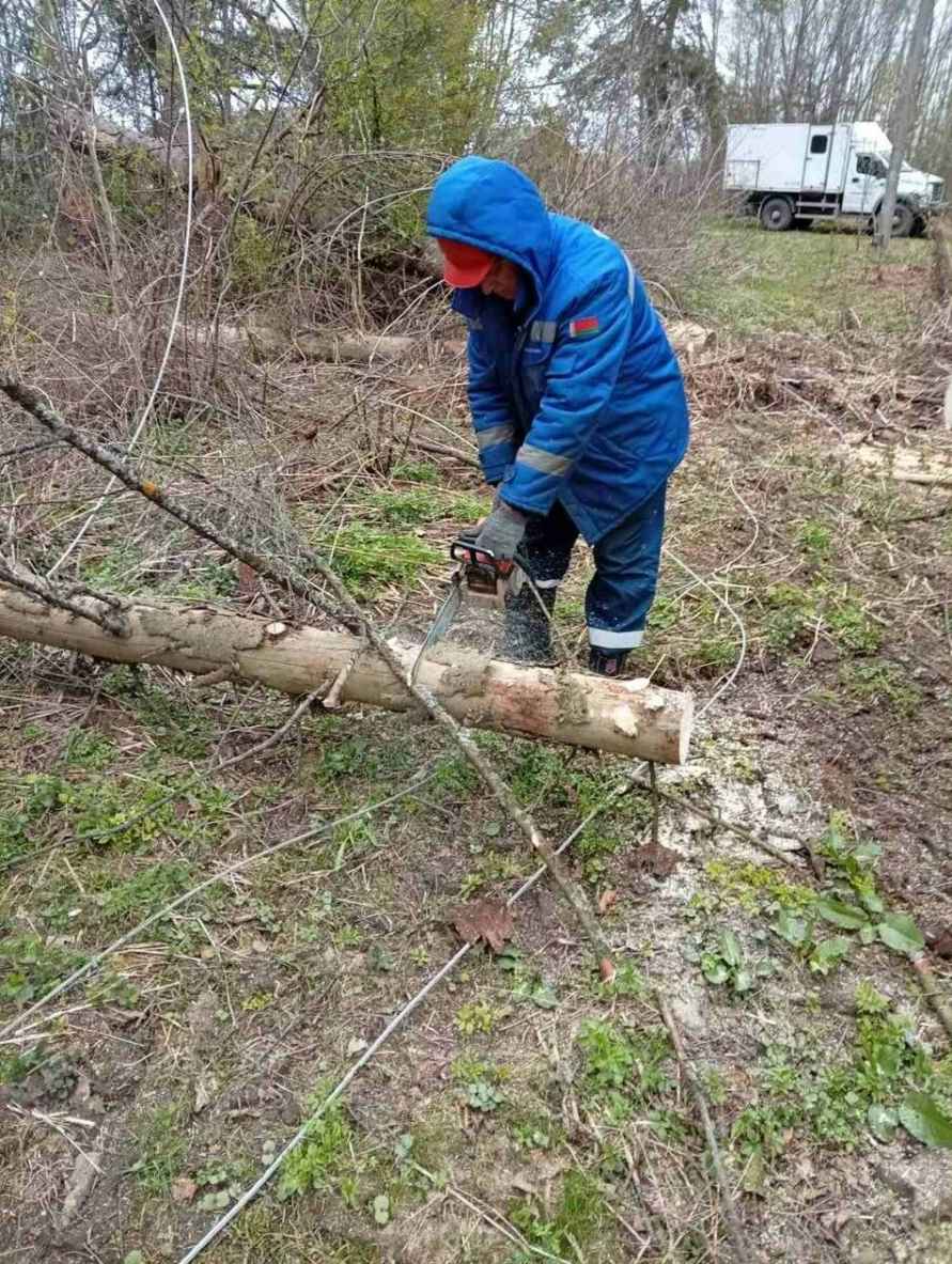 «Оранжевый» ветер в Беларуси валил светофоры, отключал свет и поднимал пылевые бури