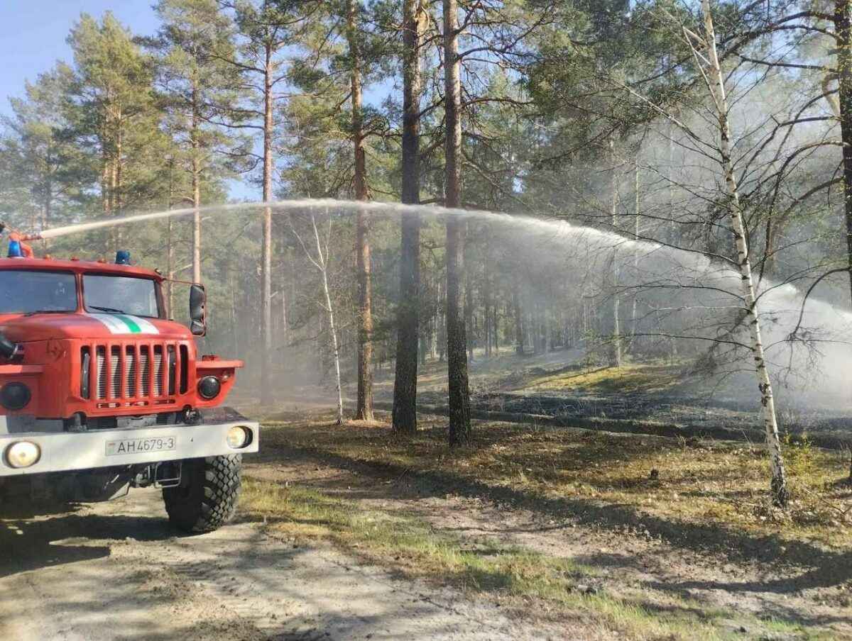 Под Бобруйском пылевая буря спровоцировала ДТП на 5 машин