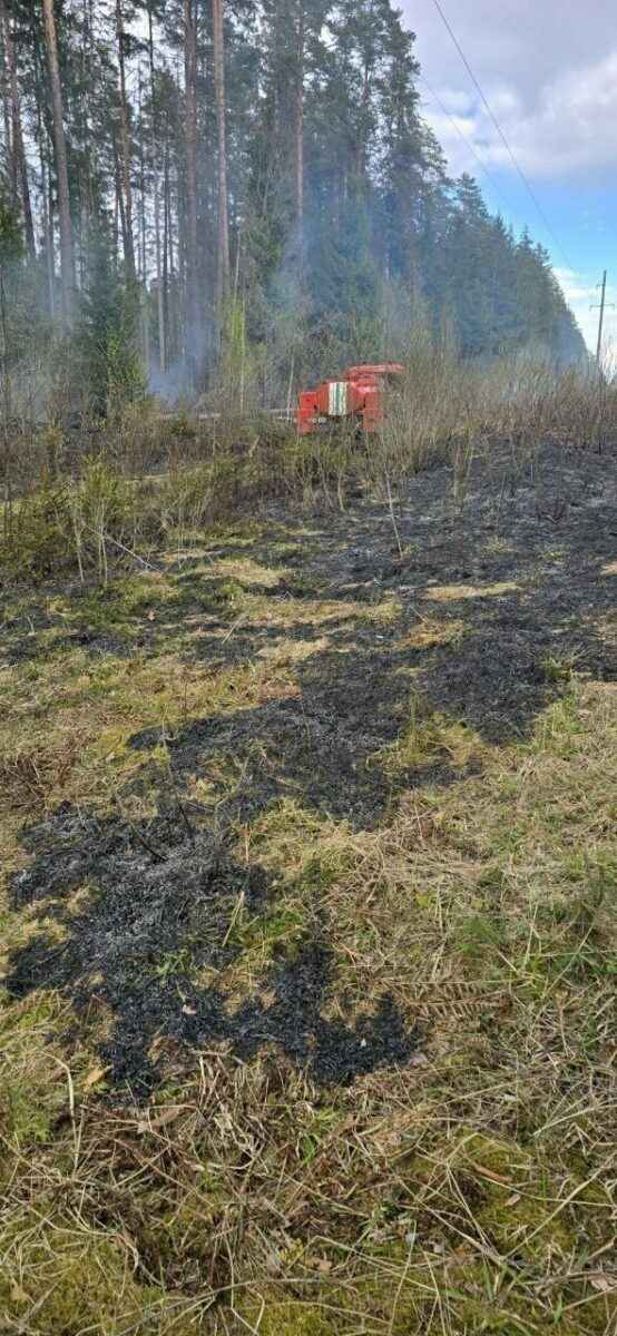 Под Бобруйском пылевая буря спровоцировала ДТП на 5 машин