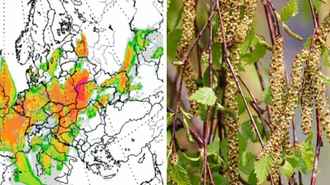 Для аллергиков в Беларуси в ближайшие дни наступит самая некомфортная пора