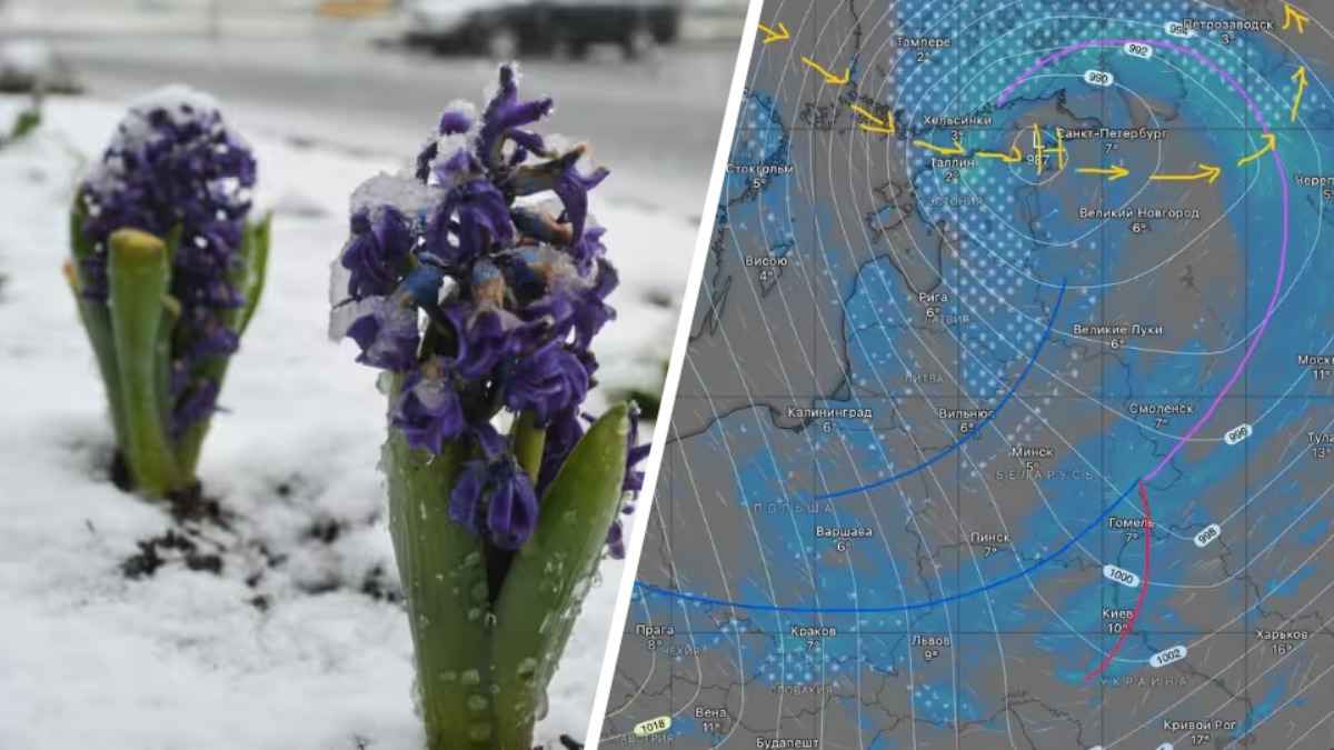 Синоптики назвали дату, когда ныряющий арктический циклон засыплет Беларусь снежной крупой