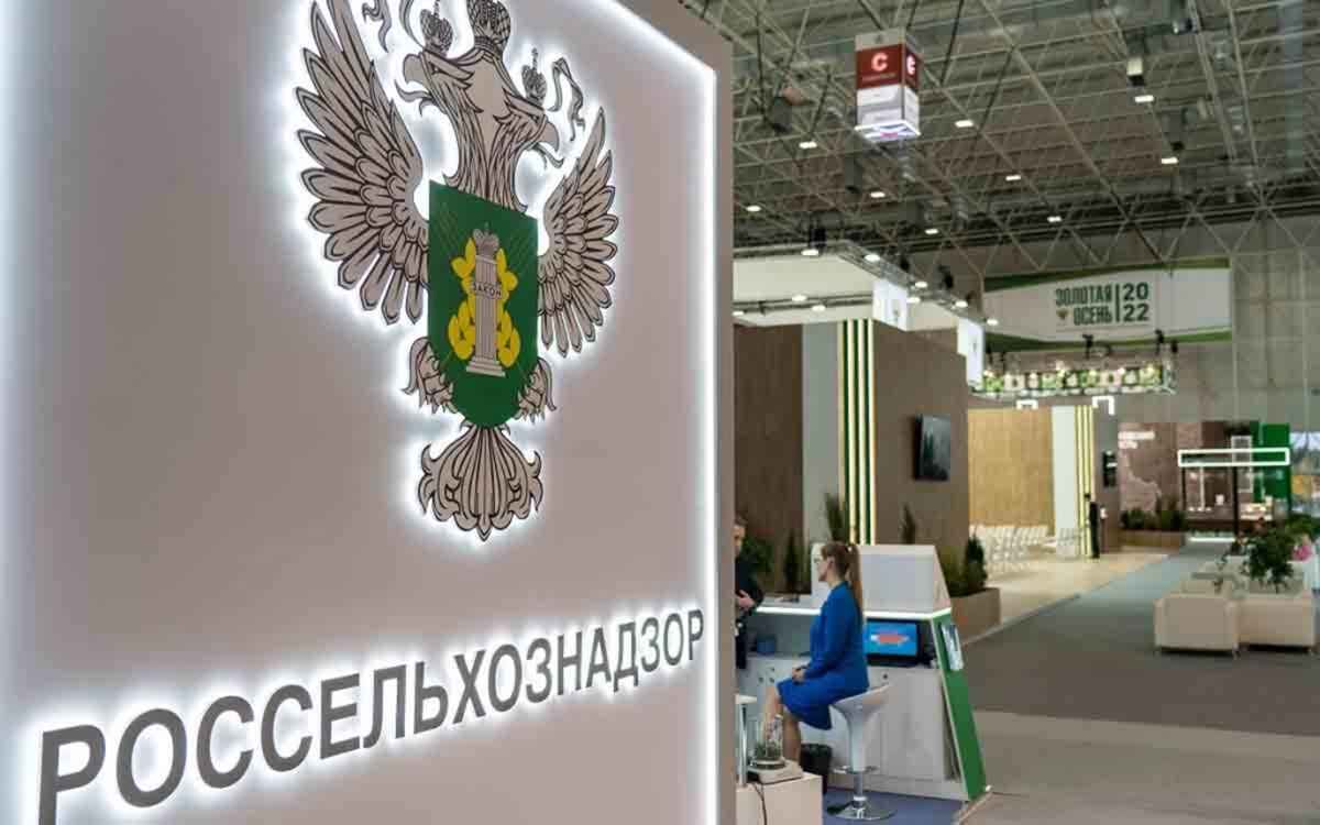 Фото иллюстрационное