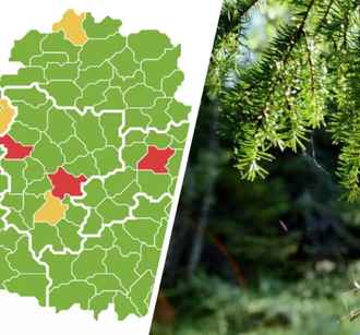 Минлесхоз запретил белорусам ходить в лес в 3 районах